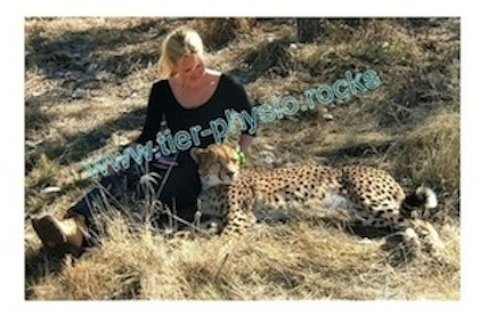 Tierphysiotherapie Berlin